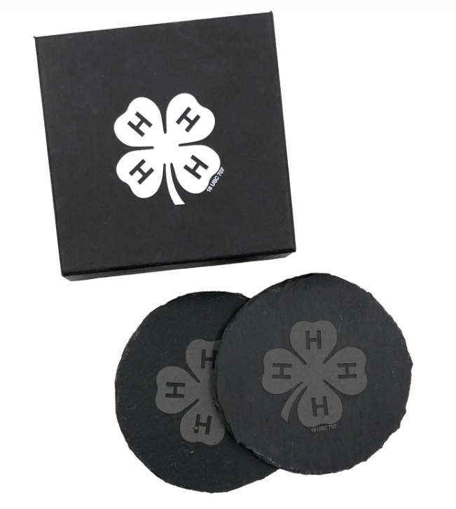 Round Slate Coaster Set (2)